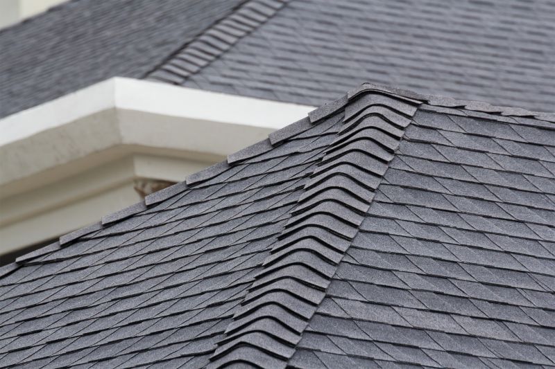 Specialty Roofing Services